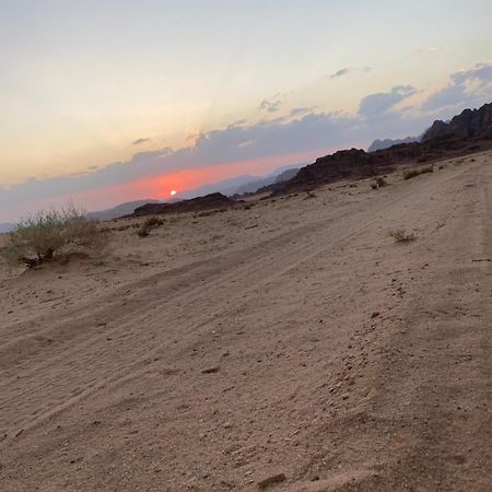 Wadirum Zeid Camp&Tours وادي رم المظهر الخارجي الصورة