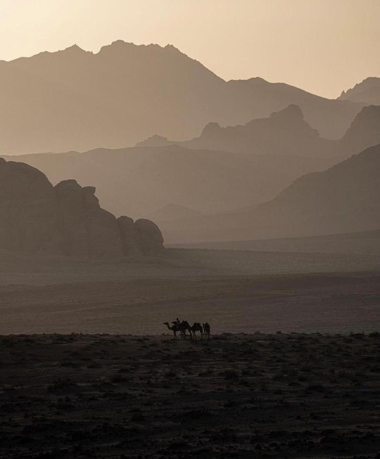 Wadirum Zeid Camp&Tours وادي رم المظهر الخارجي الصورة