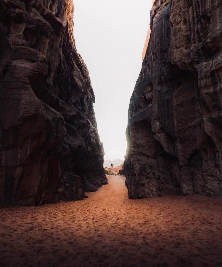 Wadirum Zeid Camp&Tours وادي رم المظهر الخارجي الصورة