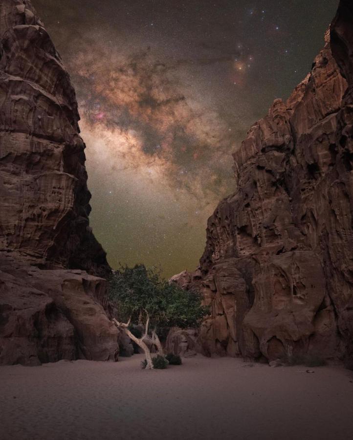 Wadirum Zeid Camp&Tours وادي رم المظهر الخارجي الصورة