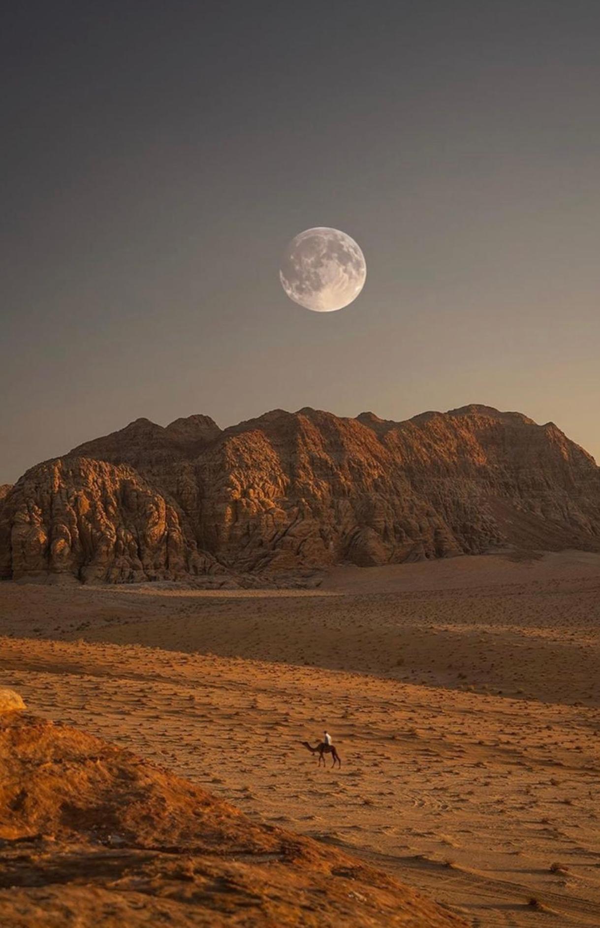 Wadirum Zeid Camp&Tours وادي رم المظهر الخارجي الصورة