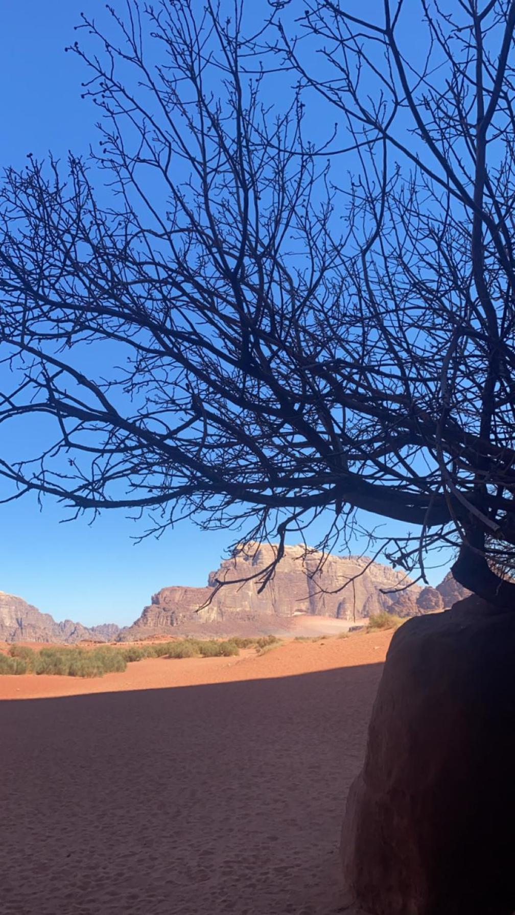 Wadirum Zeid Camp&Tours وادي رم المظهر الخارجي الصورة